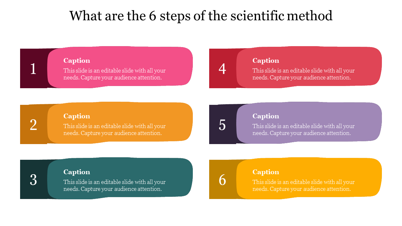 What Are The Steps Of The Scientific Method Template